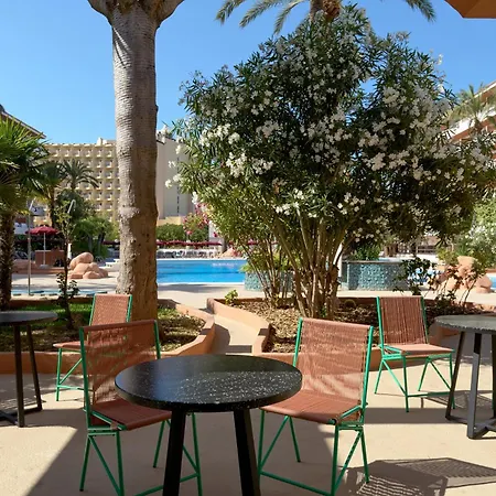 Tent Calvia 3*